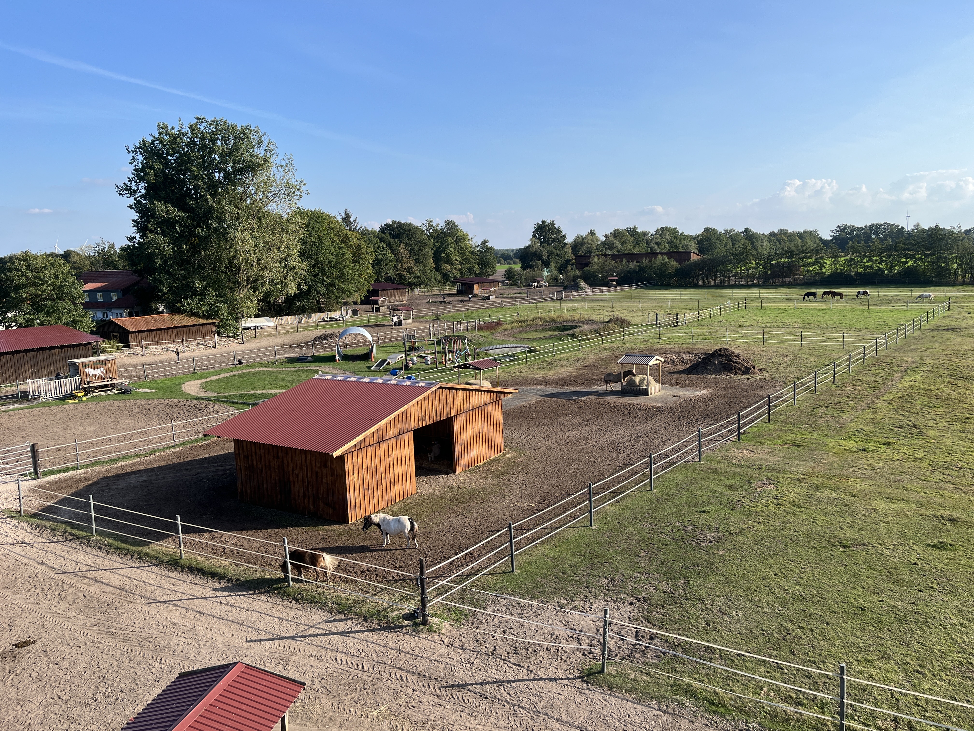 Ponygruppe - die Minis